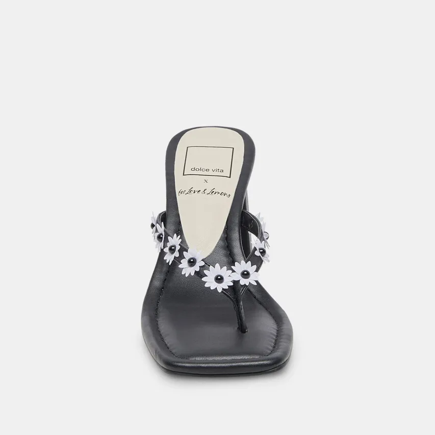 DAPHNE HEELS BLACK STELLA^Dolce Vita Hot