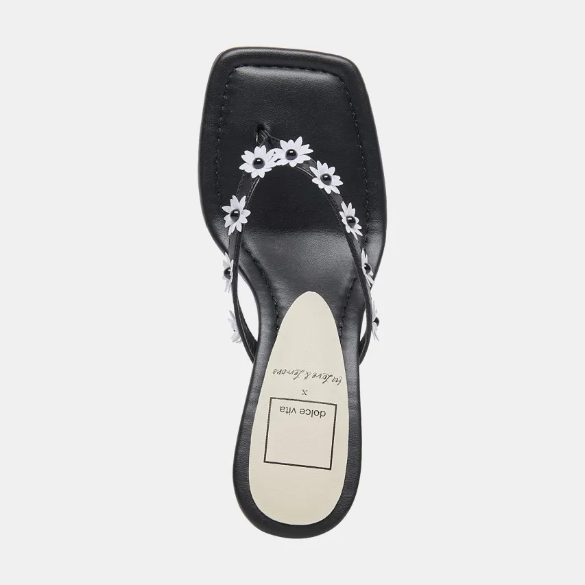 DAPHNE HEELS BLACK STELLA^Dolce Vita Hot