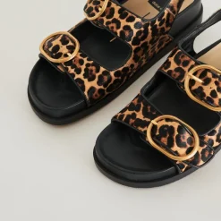 STARLA SANDALS LEOPARD BLACK CALF HAIR^Dolce Vita Fashion